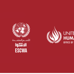 A newly established web platform on Social Protection and Human Rights is launched